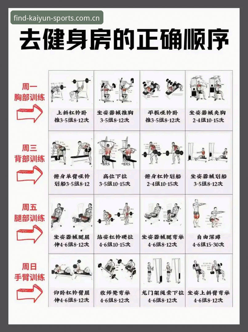凯运体育操作指南：从入门到精通的完整使用教程